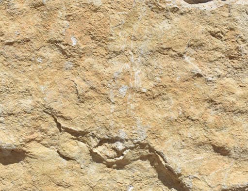 Laminado — Dorado Costera