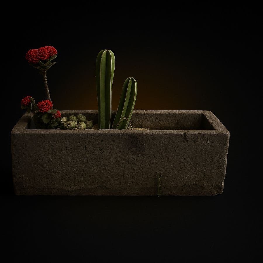 Maceta rectangular baja de cantera — tallada a mano en Escolásticas, Querétaro